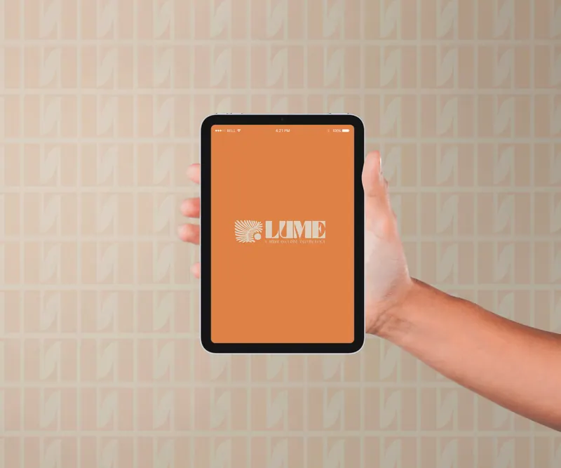 Lume identity, application 11 of 19