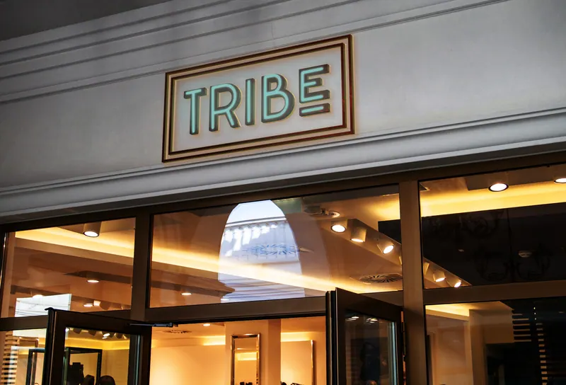 Tribe identity, application 4 of 8