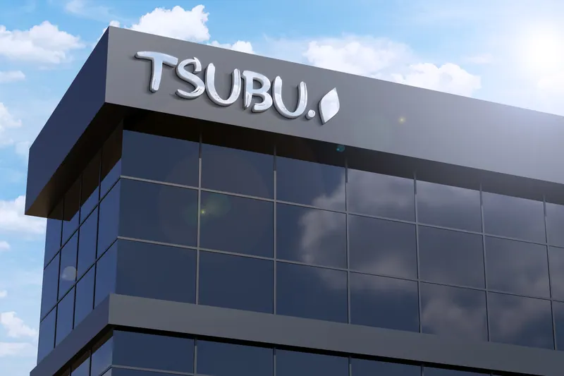 Tsubu identity, application 16 of 17