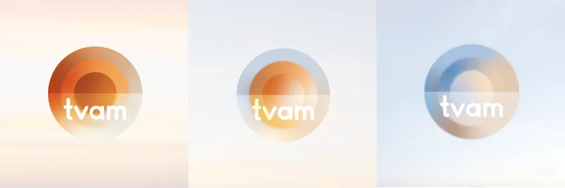 TVAM identity, application 1 of 13