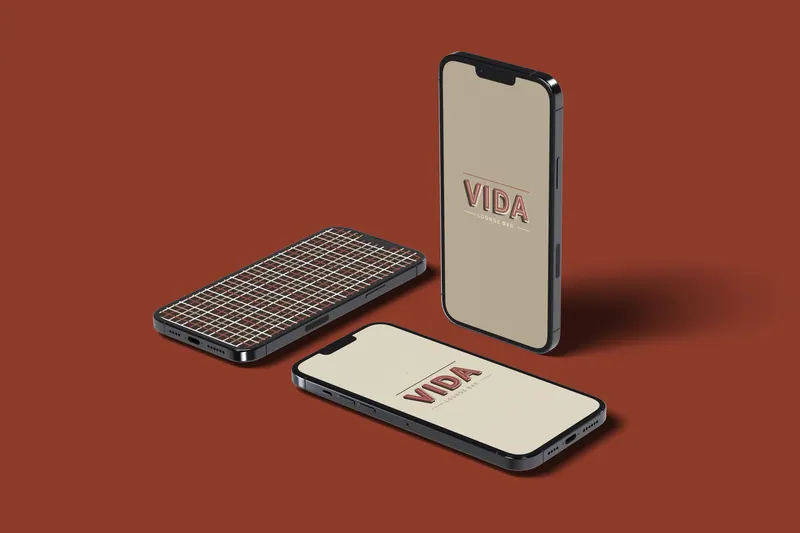 Vida identity, application 12 of 14